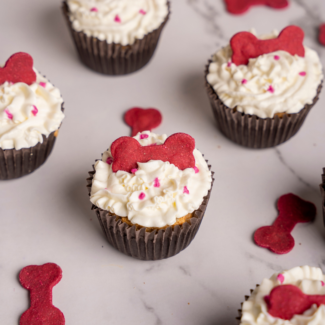 Bark Day Special Pupcakes (Set of 6)
