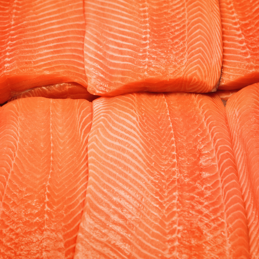 Salmon