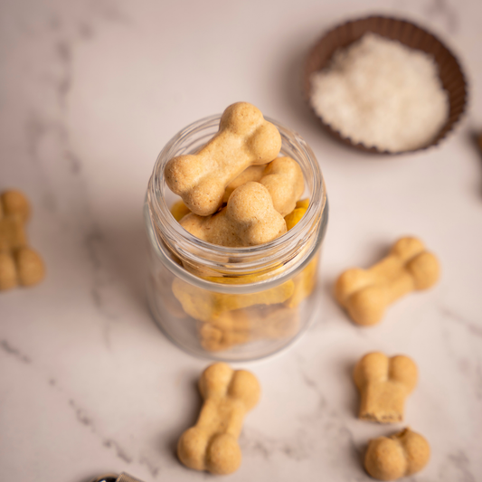 Chicken & Coconut Treats